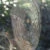 hanging_on_reduced